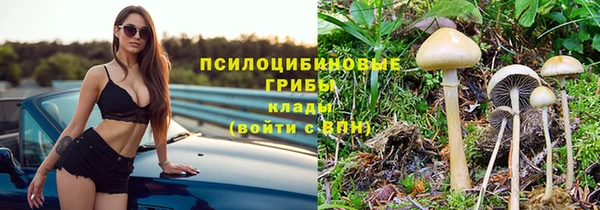 кокс Алексеевка