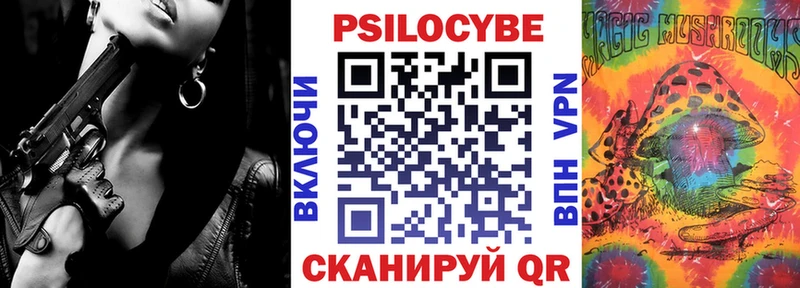 Галлюциногенные грибы Psilocybine cubensis  наркотики  Приозерск 
